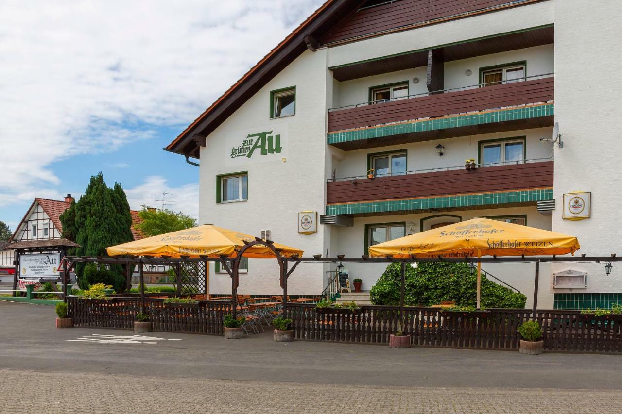Pension Grune Au Hasselroth Kültér fotó